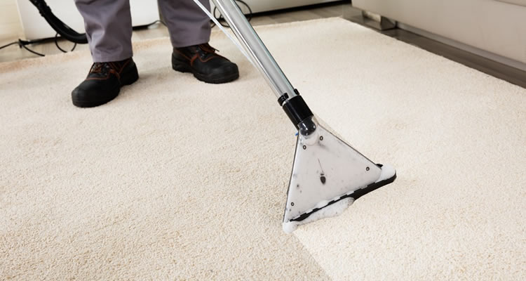 carpet cleaning top image