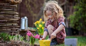 How to Childproof your Garden