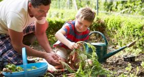 How to Make Your Garden Safe and Fun for Disabled Children