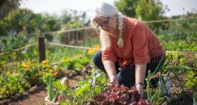 Longest Waiting Lists for an Allotment in the UK