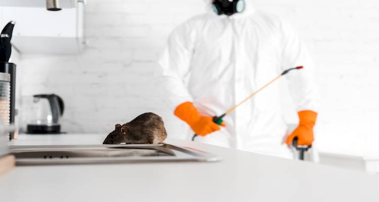 Rat Exterminator Price