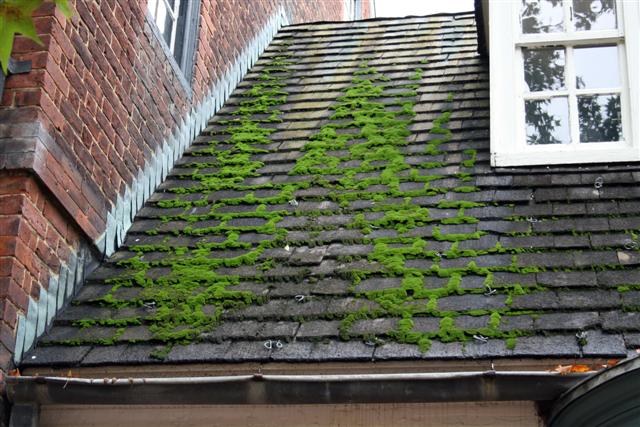 How do you remove moss from a roof?