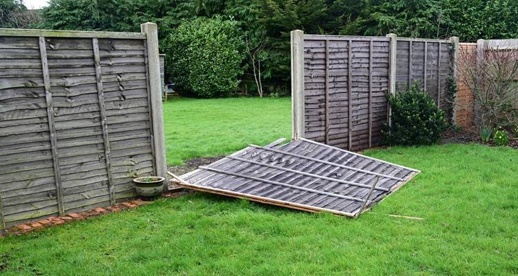 broken garden fence