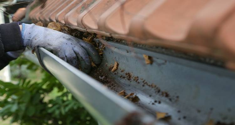 cleaning gutters