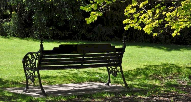 Garden chair under a shaded tree