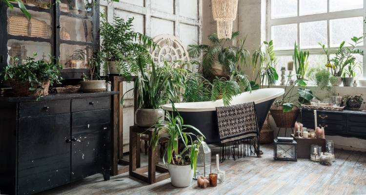 earthy biophilic