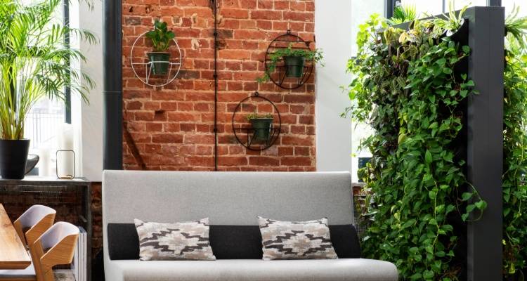 vertical garden