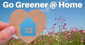 33 Ways You Can Go Greener at Home