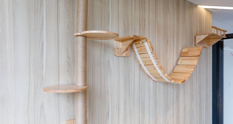 cat play area