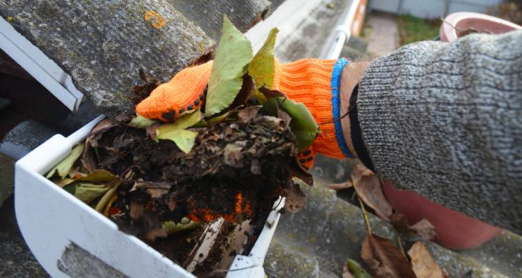 person cleaning gutters