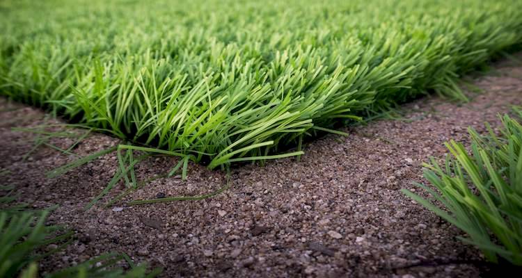 Artificial grass and soil