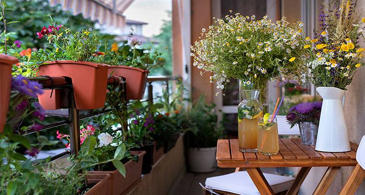 garden balcony with flowers