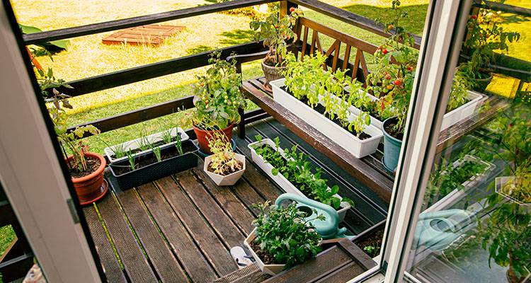 garden balcony planters