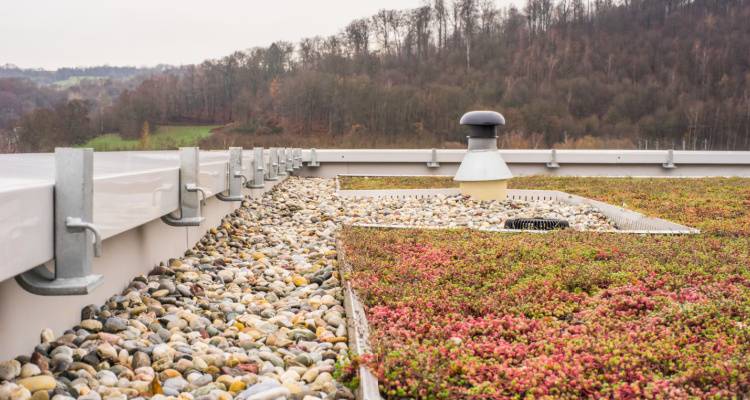 flat green roofing