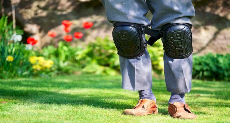 Person wearing knee pads in garden
