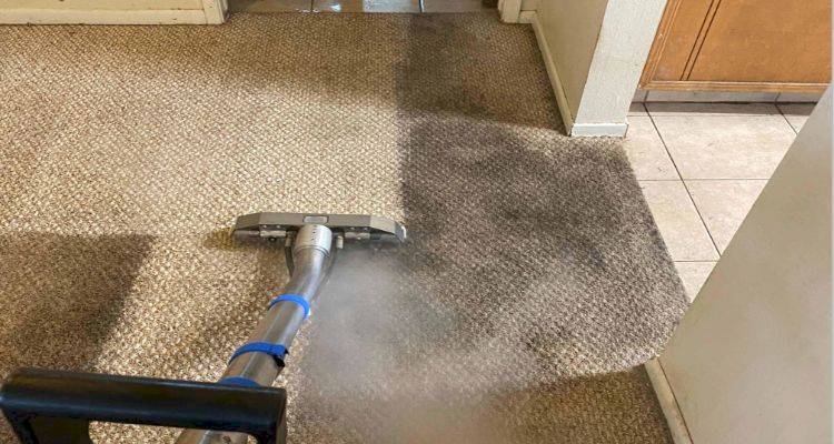 carpetcleaner3