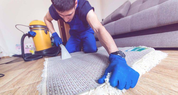 Carpet Cleaning Cost 2024: How Much is Carpet Cleaning?
