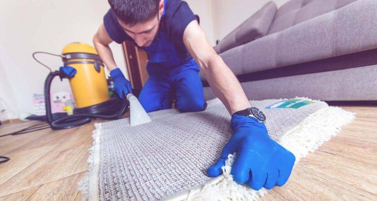 carpetcleaner2