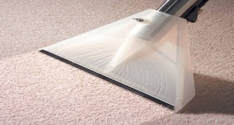 Carpet vacuum