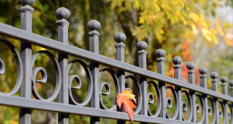 wrought iron fence