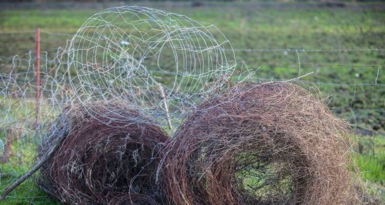 chain link fence removal