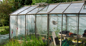 Choosing a Greenhouse