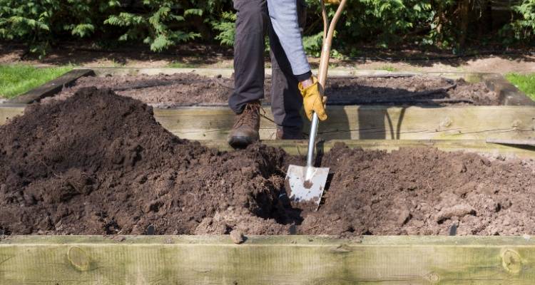 gardener digging