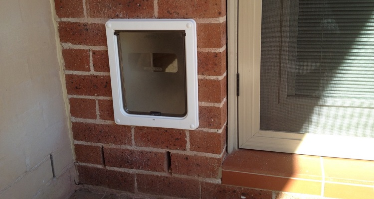 cat flap installed through wall