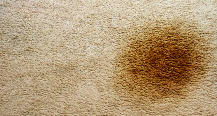 carpet with a large stain