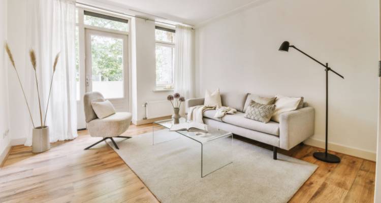 natural light in living room