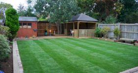 Different Lawn Weeds and How to Remove Them