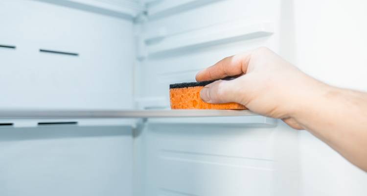cleaning fridge
