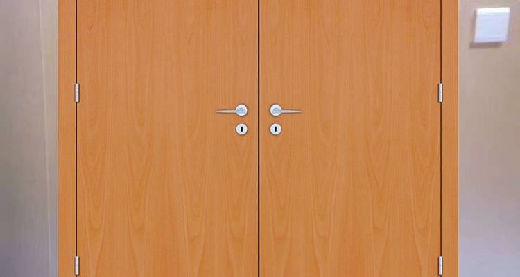 FD90 fire door