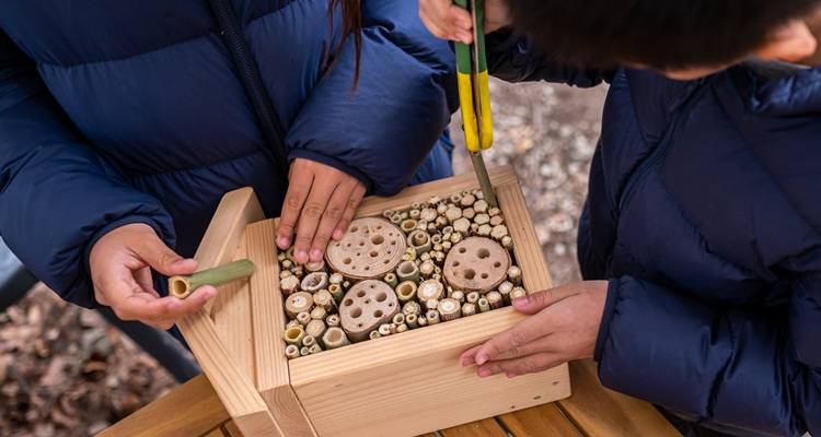 kids hand bug hotel
