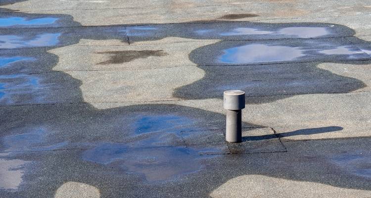 pooling water on roof