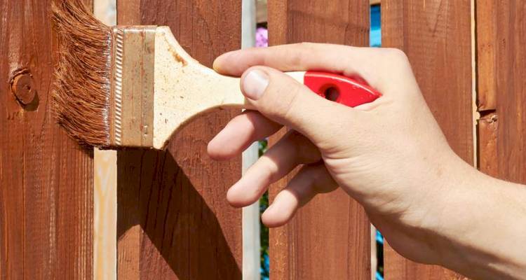 Painting wood fence