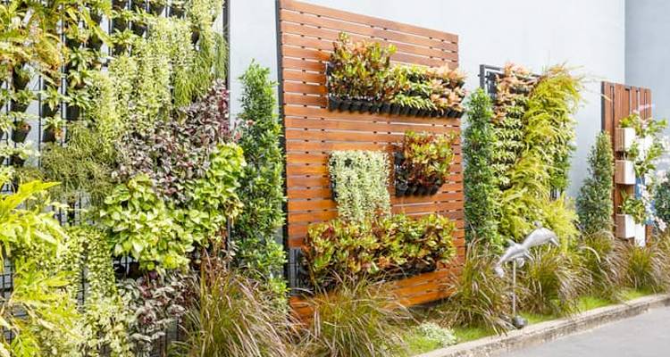 Hedging on a trellis