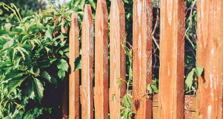 Wooden picket fence