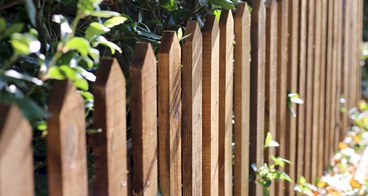 Dark wood picket fence