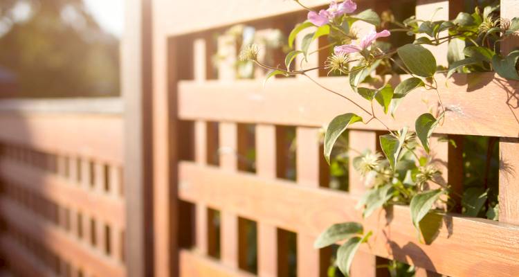 Wood fence with flowers