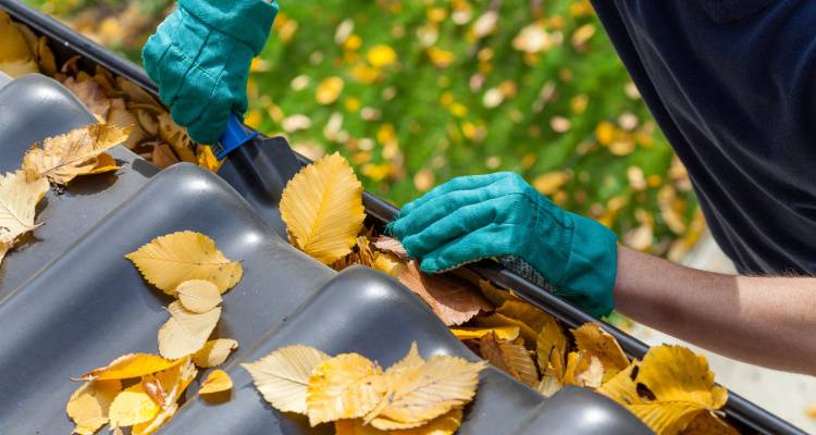 cleaning fibreglass roof