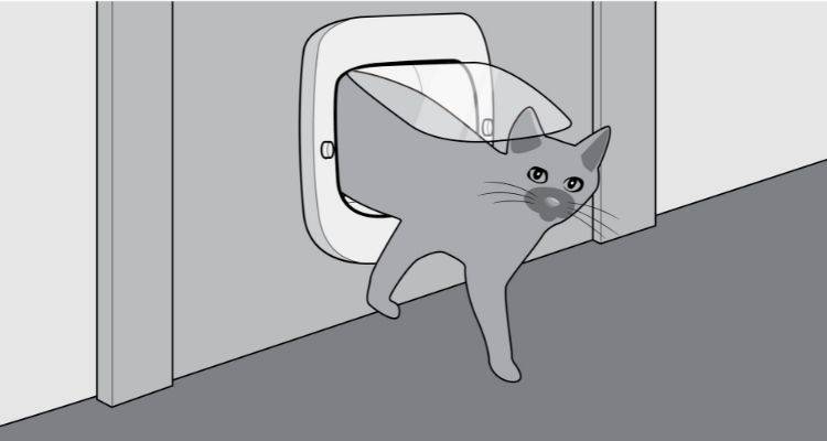how to fit a cat flap step 10