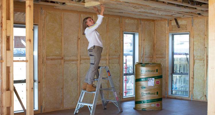 Woman on ladder