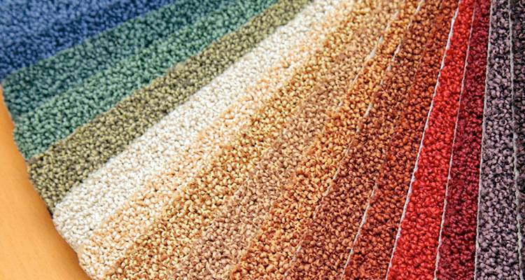 coloured carpet costs
