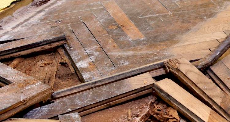 Damaged wooden floorboards