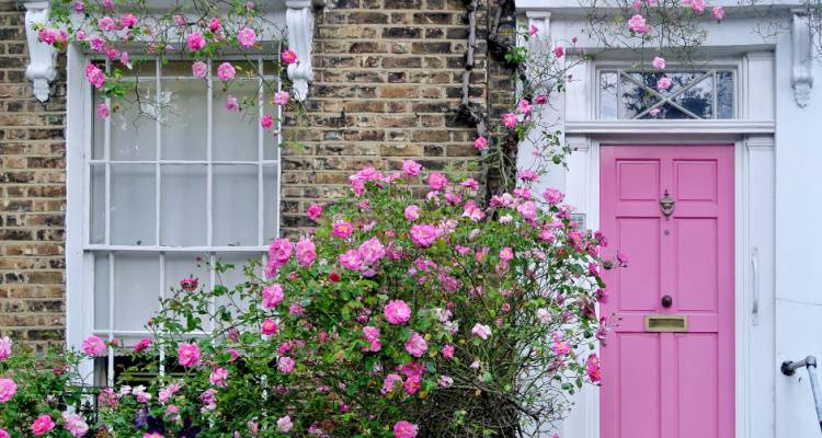 pink front door