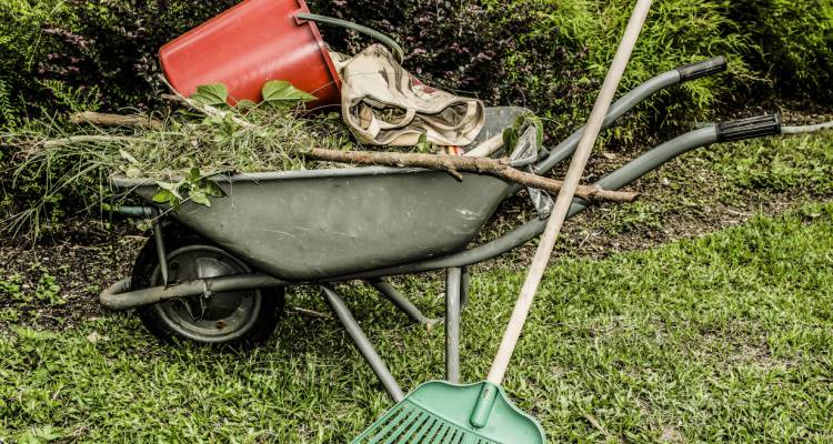 wheelbarrow full of garden waste