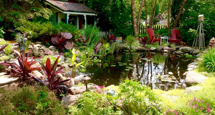 Mediterranean garden