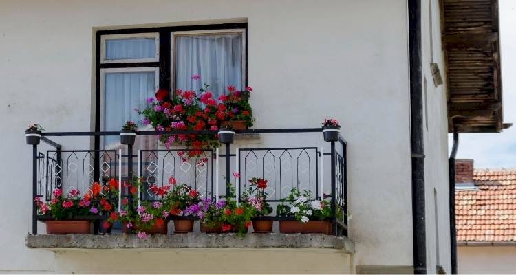 bright flowers cascading on balcony