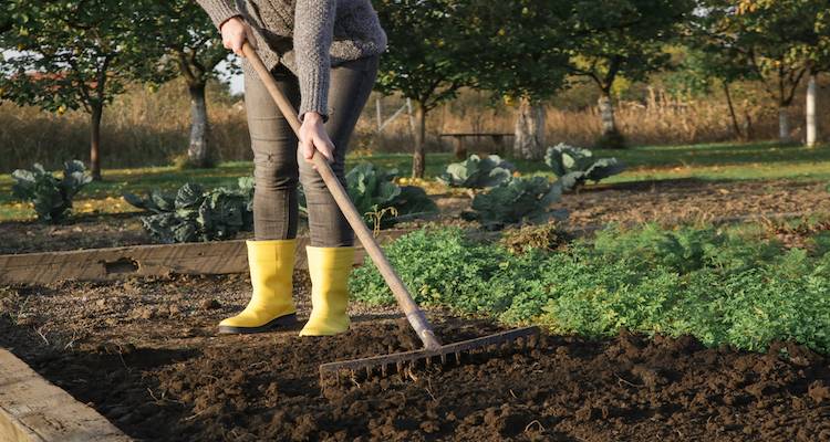 levelling garden